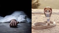 வீட்டில் தூங்கிய சிறுமியை 2 முறை கடித்த நல்ல பாம்பு!...
