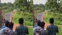 பொதுமக்கள் புலியின் அருகே நின்று புகைப்படம் எடுத்த வீடியோ வைரல்!...