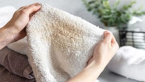 Bath Towels: ஒரு துண்டை பயன்படுத்திய பிறகு எத்தனை முறை துவைக்க வேண்டும்? Bath Towels: ஒரு துண்டை பயன்படுத்திய பிறகு எத்தனை முறை துவைக்க வேண்டும்?
