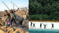 மனிதர்களைக் கண்டாலே அம்பு எய்வது ஏன்? ஆபத்தான ரகசியம்!...