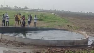 Viral Video : கிணற்றில் அங்கும் இங்கும் அலைமோதும் தண்ணீர்.. இணையத்தை வியப்புக்குள்ளாக்கிய வீடியோ! Viral Video : கிணற்றில் அங்கும் இங்கும் அலைமோதும் தண்ணீர்.. இணையத்தை வியப்புக்குள்ளாக்கிய வீடியோ!