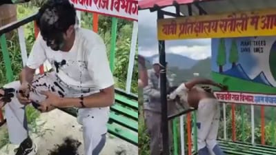 பாலியல் தொல்லை கொடுத்த இளைஞர்களுக்கு கிராம் மக்கள் பதிலடி!