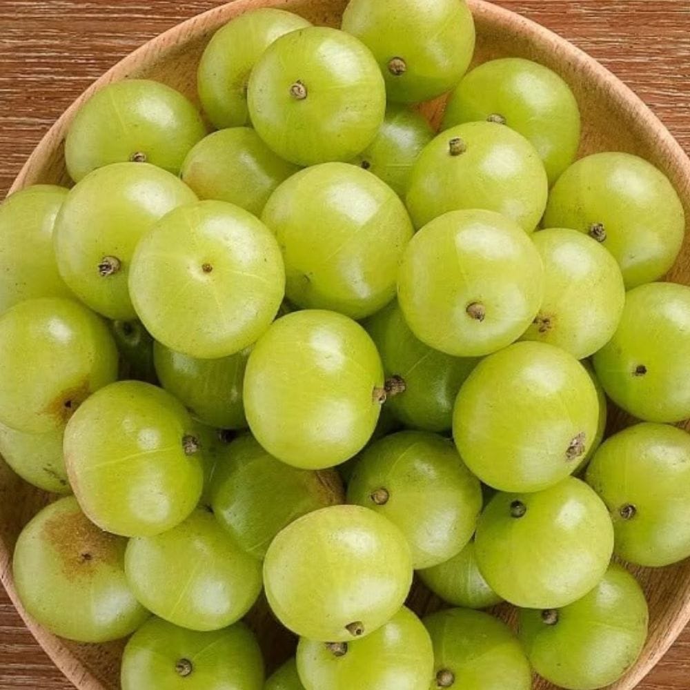 நெல்லிக்காயில் கால்சியம் இருப்பதாக கட்டுரை குறிப்பிடுகிறது.
கால்சியம் உடலின் எலும்பு ஆரோக்கியத்திற்கு தேவையான முக்கிய சத்தாகும்.
அதனால் உணவில் நெல்லிக்காயை சேர்ப்பது ஊட்டச்சத்து பார்வையில் பயனுள்ளதாக இருக்கலாம்.