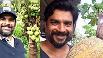 ஸ்டார் நடிகரின் சூப்பர் விவசாயம்: மாடித் தோட்டம் அமைக்க ஃபார்முலா