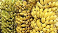 வாழைப்பழம் சீக்கிரம் கருக்குதா? இந்த ஒரு டிஷ்யூ பேப்பர் டிரிக் போ...