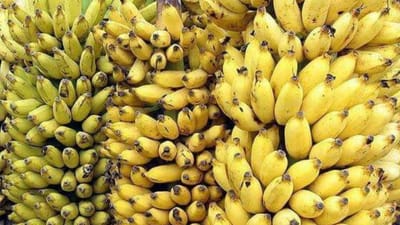 வாழைப்பழம் சீக்கிரம் கருக்குதா? இந்த ஒரு டிஷ்யூ பேப்பர் டிரிக் போ