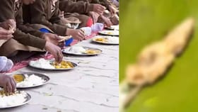 அரசு பள்ளியில் பல்லி விழுந்த உணவை சாப்பிட்ட மாணவர்கள் மயக்கம்!...