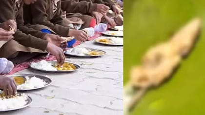 அரசு பள்ளியில் பல்லி விழுந்த உணவை சாப்பிட்ட மாணவர்கள் மயக்கம்!