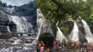 திடீரென பெய்த மழை.. குற்றால அருவிகளில் ஆர்ப்பரித்து கொட்டும் தண்ணீர்.. சுற்றுலா பயணிகள் குளிக்க அனுமதியா?