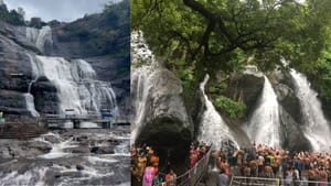 திடீரென பெய்த மழை.. குற்றால அருவிகளில் ஆர்ப்பரித்து கொட்டும் தண்ணீர்.. சுற்றுலா பயணிகள் குளிக்க அனுமதியா? திடீரென பெய்த மழை.. குற்றால அருவிகளில் ஆர்ப்பரித்து கொட்டும் தண்ணீர்.. சுற்றுலா பயணிகள் குளிக்க அனுமதியா?