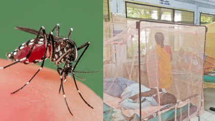 அச்சுறுத்தும் டெங்கு.. பாதிப்பு 16,577 ஆக உயர்வு..