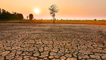 கடும் வறட்சியை நோக்கி தமிழ்நாடு - ஆய்வில் அதிர்ச்சி தகவல்