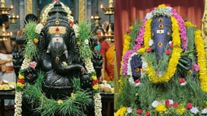 விநாயகருக்கு பிடித்த அருகம்புல்… இதன் பின்னணி உங்களுக்கு தெரியுமா?