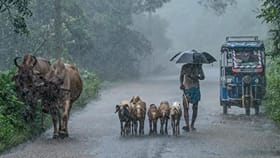 நாளை இந்த 6 மாவட்டங்களில் வெளுத்து வாங்க காத்திருக்கும் மழை...