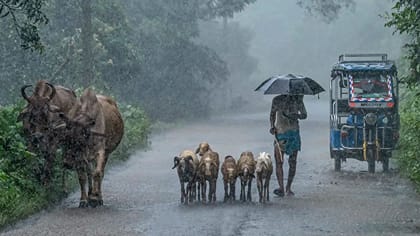 நாளை இந்த 6 மாவட்டங்களில் வெளுத்து வாங்க காத்திருக்கும் மழை