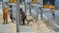 பாலியல் தொல்லை: பெண்ணை கடவுள் ரூபத்தில் காப்பாற்றிய தெருநாய்!...