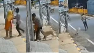 கோவையில் நள்ளிரவில் இளம்பெண்ணுக்கு பாலியல் தொல்லை.. கடவுள் ரூபத்தில் வந்த தெருநாய்.. தலைதெரிக்க ஓடிய 16 வயது சிறுவன்!