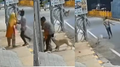பாலியல் தொல்லை: பெண்ணை கடவுள் ரூபத்தில் காப்பாற்றிய தெருநாய்!