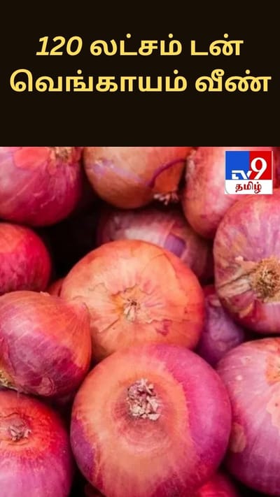 வெங்காய விலை உயர்வு: அழுகிய வெங்காயத்தால் 120 லட்சம் டன் வீணானதாக தகவல்