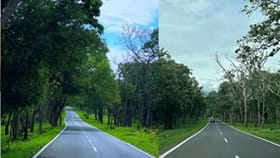 ஊட்டியிலிருந்து மசினகுடிக்கு சுற்றுலா செல்ல திட்டமா?...