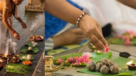 பித்ரு பட்ச ஏகாதசி: முன்னோர்களின் ஆசியை முழுமையாக பெறுவது எப்படி?...