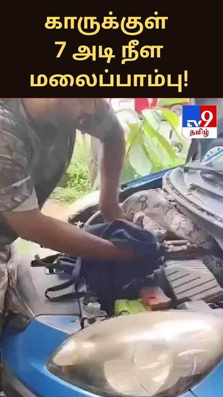 மும்பையில் காருக்குள் பதுங்கியிருந்த 7 அடி நீள மலைப்பாம்பு!