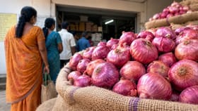 விலையேற்றத்திற்கு செக்!.. ரேஷன் கடைகளில் மலிவு விலையில் வெங்காய விற்பனை தொடக்கம்.....