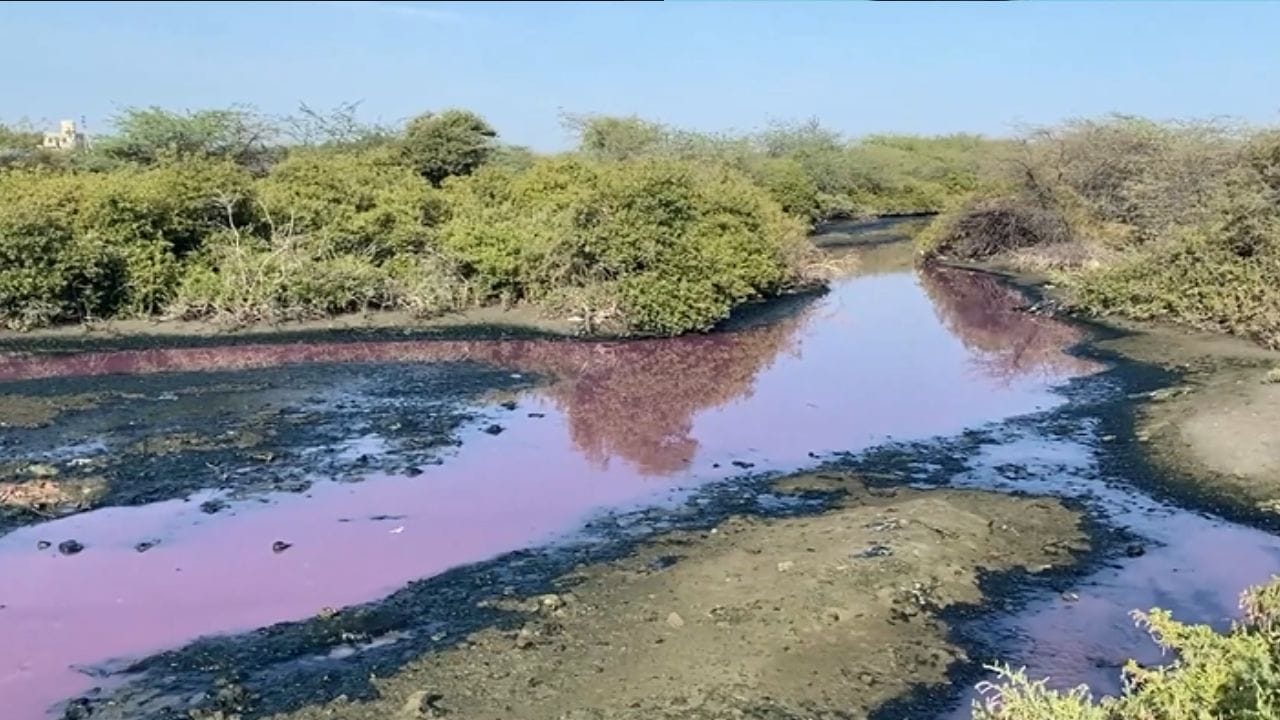தொழிற்சாலை கழிவால் இளஞ்சிவப்பு நிறமாக மாறிய ஆறு; பொதுமக்கள் அதிர்ச்சி தொழிற்சாலை கழிவால் இளஞ்சிவப்பு நிறமாக மாறிய ஆறு; பொதுமக்கள் அதிர்ச்சி