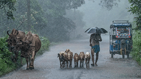 இன்று 7 மாவட்டங்களுக்கு மழை எச்சரிக்கை.. வெப்பநிலை எப்படி?...