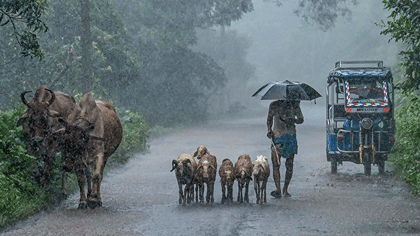 இன்று 7 மாவட்டங்களுக்கு மழை எச்சரிக்கை.. வெப்பநிலை எப்படி?