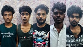 கோவையில் பல்வேறு குற்ற வழக்குகளில் தொடர்புடைய கும்பல் அதிரடி கைது