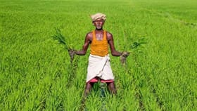 பயிர்க்கடன் வசூலை உடனடியாக நிறுத்தி வைக்க தமிழக அரசு உத்தரவு!...