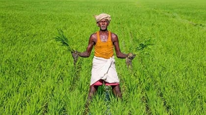 பயிர்க்கடன் வசூலை உடனடியாக நிறுத்தி வைக்க தமிழக அரசு உத்தரவு!