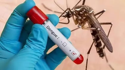 திருப்பூரில் டெங்கு காய்ச்சலுக்கு 4 வயதுச் சிறுவன் உயிரிழப்பு