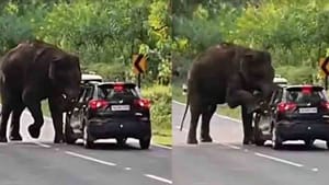 ஈரோட்டில் பாய்ந்து வந்த கருப்பு நிற கார்.. வழிமறித்த ஒற்றை காட்டு யானை.. நூலிழையில் உயிர் தப்பியவர்களின் திக் திக் நிமிடம்! ஈரோட்டில் பாய்ந்து வந்த கருப்பு நிற கார்.. வழிமறித்த ஒற்றை காட்டு யானை.. நூலிழையில் உயிர் தப்பியவர்களின் திக் திக் நிமிடம்!