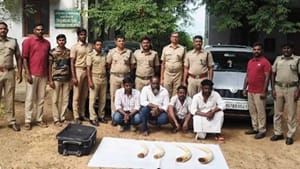 தேனியில் பகீர் வேட்டை.. யானை தந்தம் கடத்திய 4 பேர் அதிரடி கைது.. வனத்துறை அதிரடி நடவடிக்கை! தேனியில் பகீர் வேட்டை.. யானை தந்தம் கடத்திய 4 பேர் அதிரடி கைது.. வனத்துறை அதிரடி நடவடிக்கை!