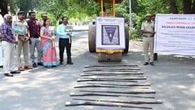 பெரும் பரபரப்பு.. ஒரே நேரத்தில் 134 துப்பாக்கிகள் அழிப்பு!...
