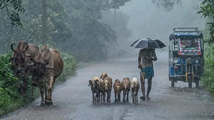 அடுத்த 6 நாட்களுக்கு தமிழகத்தில் மழை தொடரும் - வானிலை மையம்