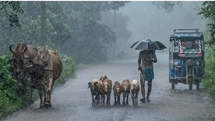 நாளை 12 மாவட்டங்களில் மழை வெளுத்து வாங்கும் - வானிலை மையம்