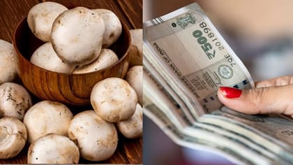 ரூ.250-ல் தொழில் தொடங்கி சாதித்த கேரள தம்பதி!
