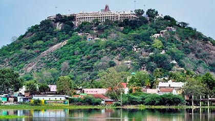 பழனி பஞ்சாமிர்தத்துக்கு வாழைப்பழம் வழங்க டெண்டர்