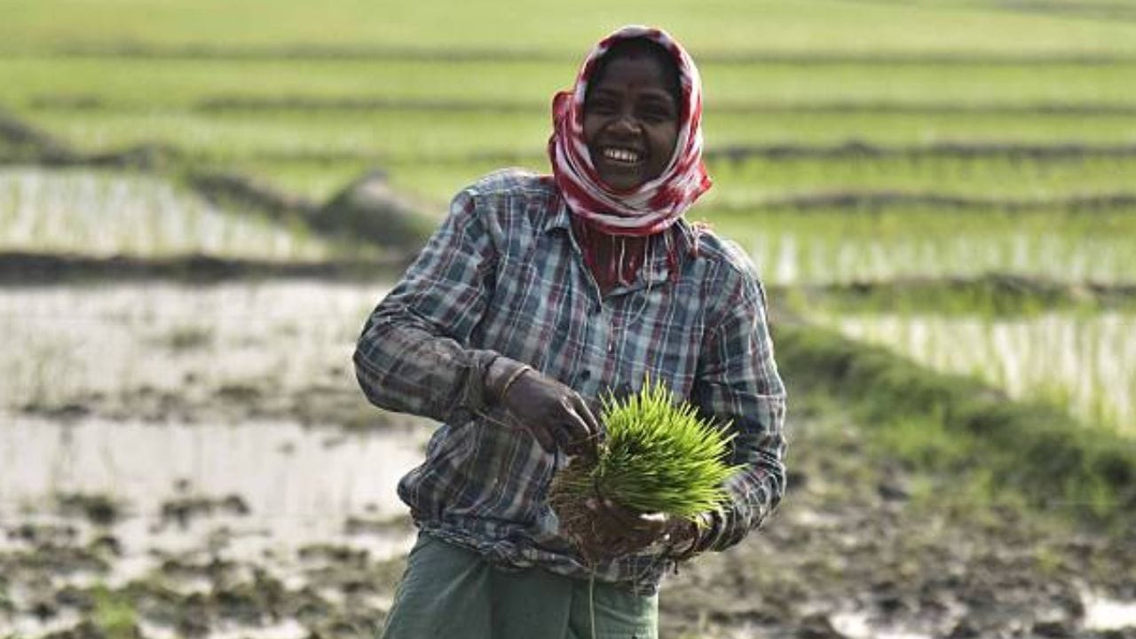 24 வது தவணை அக்டோபர் மாதம் வரவு வைக்கப்பட உள்ளதாக கூறப்படும் நிலையில், விவசாயிகள் பிஎம் கிசான் சம்மன் நிதி இணையதளத்திற்கு சென்று ஆதார் எண் மற்றும் பதிவு செய்யப்பட்ட மொபைல் எண் ஆகியவற்றை உள்ளிட்டு ஓடிபியை பதிவிட்டு சோதனை செய்யலாம். ஒருவேளை பணம் வரவில்லை என்றால் உதவி எண்ணை அழைத்து புகார் தெரிவிக்கலாம். 