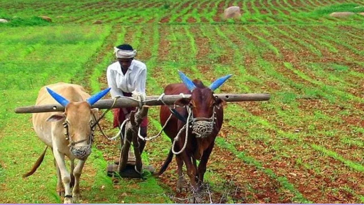 இந்த திட்டத்தில், இந்தியாவில் உள்ள ஏராளமான விவசாயிகள் பயன்பெற்று வருகின்றனர். குறிப்பாக இந்த திட்டத்தில் விவசாயிகள் இதுவரை 23 தவணைகள் பணத்தை பெற்றுள்ள நிலையில், 24வது தவணை எப்போது கிடைக்கும் என எதிர்ப்பார்த்து காத்துக்கொண்டு இருக்கின்றனர்.