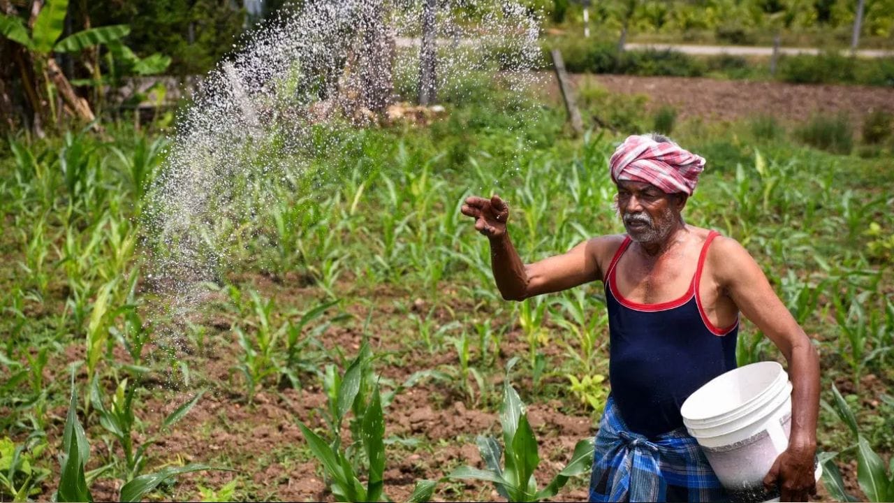 அதாவது, பிஎம் கிசான் 24வது தவணை பணம் அக்டோபர் 30, 2026 அன்று வங்கி கணக்கில் வரவு வைக்கப்பட உள்ளதாக கூறப்பட்டுள்ளது. இதன் காரணமாக பண்டிகைக்கு தங்களது வங்கி கணக்கில் ரூ.2,000 பணம் வரவு வைக்கப்படும் என விவசாயிகள் எதிர்ப்பார்த்து காத்திருக்கின்றனர்.