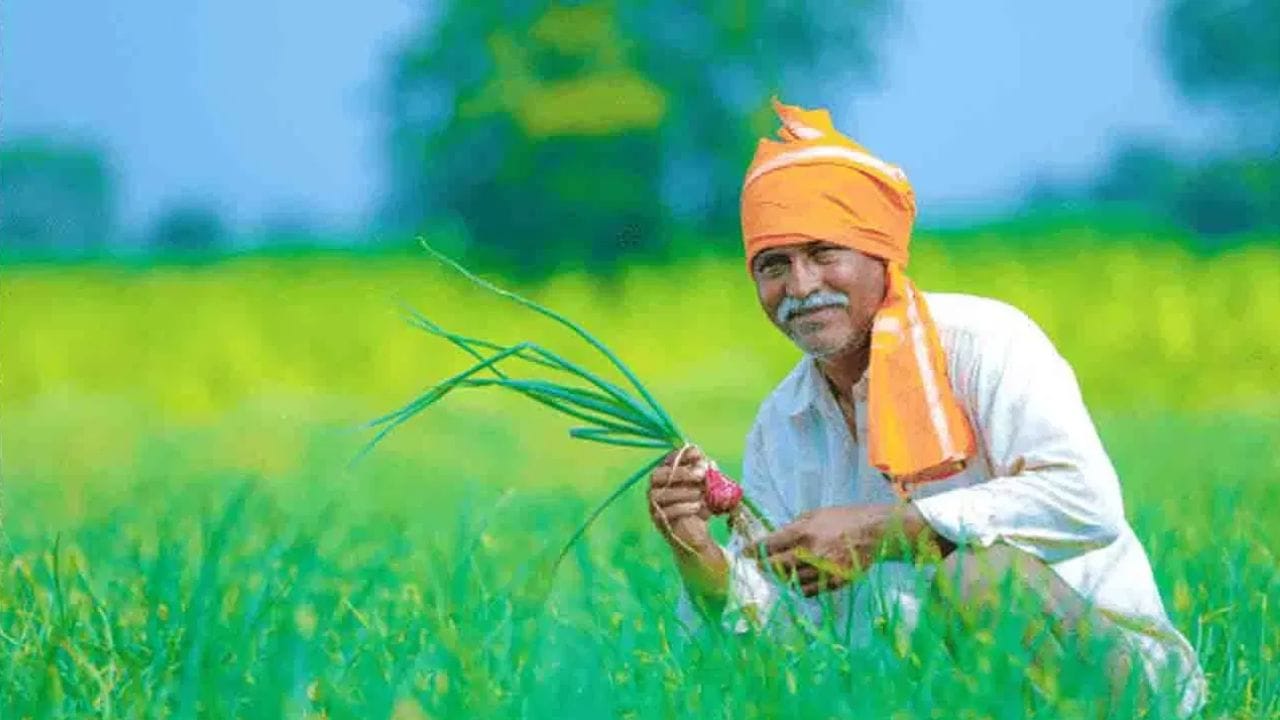 இந்த நிலையில் தான், பிஎம் கிசான் 24வது தவணை குறித்த முக்கிய தகவல் ஒன்று வெளியாகியுள்ளது. அதாவது, தீபாவளி பண்டிகையை முன்னிட்டு இந்த 24வது தவணை பணம் விவசாயிகளின் வங்கி கணக்கில் ரூ.2,000 பணம் வரவு வைக்கப்படும் என்று கூறப்பட்டுள்ளது. ஜூன் மாதம் 23வது தவணை வழங்கப்பட்ட நிலையில், தற்போது 24வது தவணை வழங்கப்பட உள்ளது.