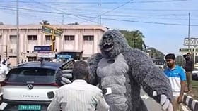 பொள்ளாச்சியில் கொரிலா வேடமிட்டு சாலை பாதுகாப்பு விழிப்புணர்வு!