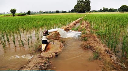 புதிதாக 50,000 விவசாய மின் இணைப்புகள்: விண்ணப்பிப்பது எப்படி?